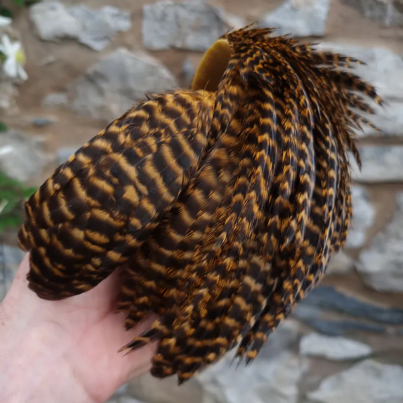 Whiting Exclusive Grizzly Hen Cape in Ginger-10